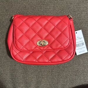 Maze Royale Purse with chain.